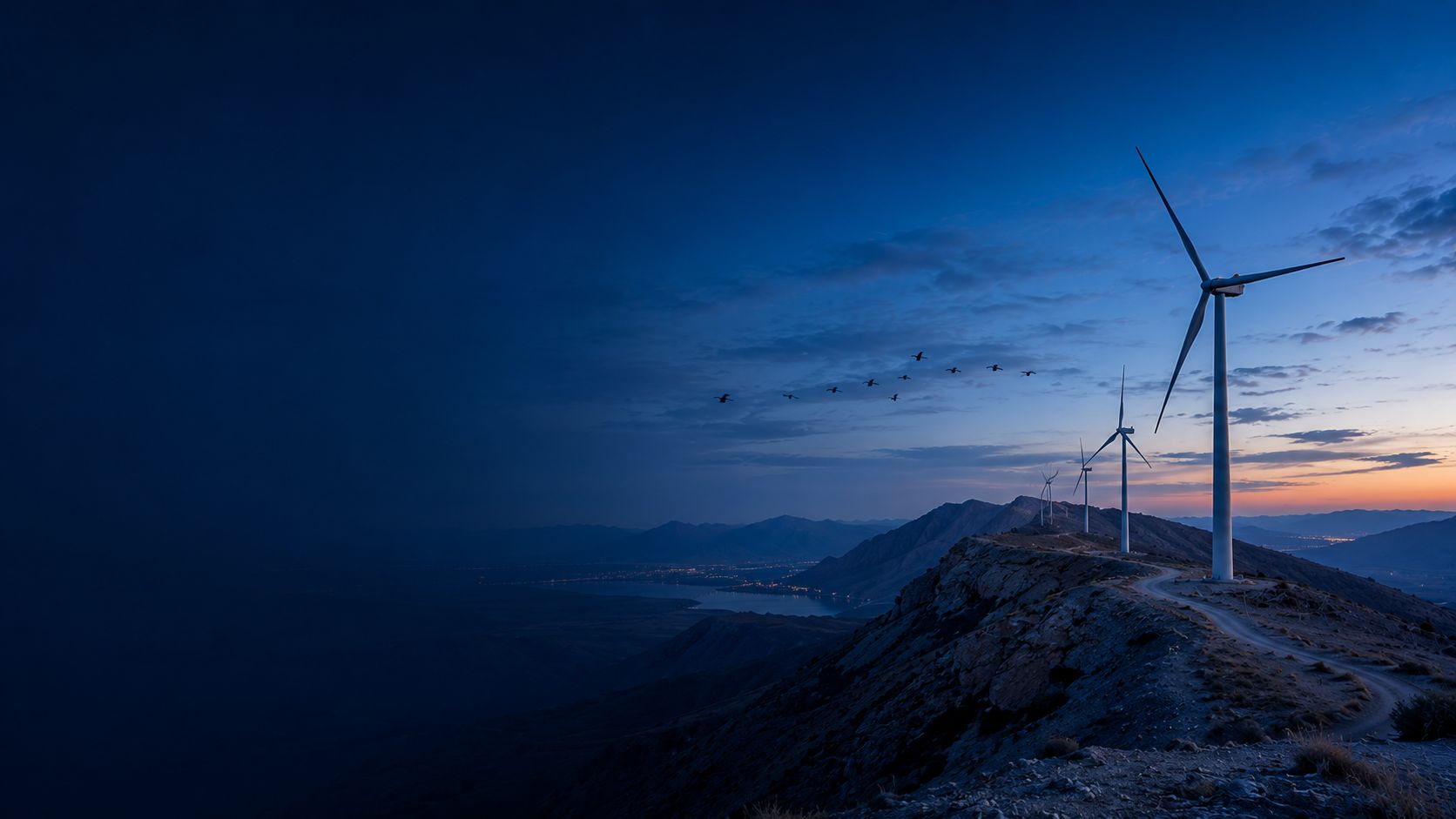 Biodiversity Baseline & Adaptive Management for Renewables